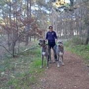  Santeramo in Colle,   , 41 ,     , c 