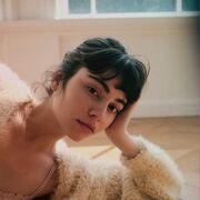 ���������� ����, ������