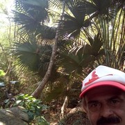  ,   StoneLion, 60 ,   ,   , c 