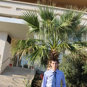  ,   , 38 ,   ,   , c , 
