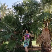 ,   , 63 ,   ,   , c , 