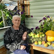  ,   , 65 ,   ,   
