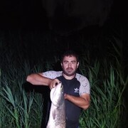  --,   , 44 ,   ,   