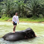 ���������� ������, ���� ������� Ali, 31 ���, ������������ ��� ������, ����� � ���������