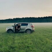 ���������� ���������, ���� ������� ����, 33 ����, ������������ ��� ������, ����� � ���������