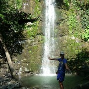  -,   , 29 ,   ,   , c , 