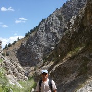 ���������� �������, ���� ������� Rovshik, 50 ���, ������������ ��� ������, ����� � ���������, c�������� ���������