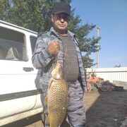 ���������� ������, ���� ������� ���������, 62 ����, ������������ ��� c�������� ���������, ���������