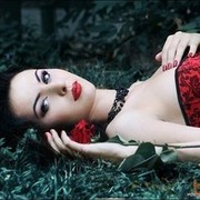 ���������� �������, ���� ������� ������, 40 ���, ������������ ��� ������