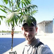  ,   , 24 ,   ,   