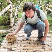 ���������� �������, ���� ������� ������, 36 ���, ������������ ��� ����� � ���������, c�������� ���������