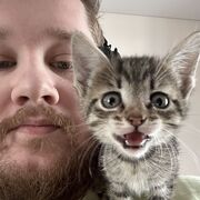 ���������� �����������, ���� ������� ����, 31 ���, ������������ ��� ������, ����� � ���������, ���������