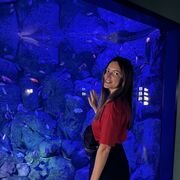 ���������� ������, ���� ������� ������, 37 ���, ������������ ��� ������, ����� � ���������