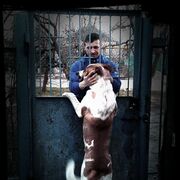  ,   , 40 ,   ,   , c , 