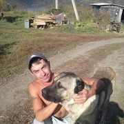  -,   , 38 ,  