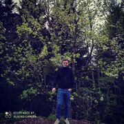 ���������� ����, ������� zvio, 34