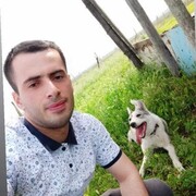  ,  , 29
