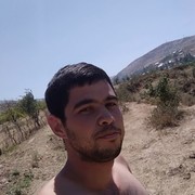  ,   Boxodir, 31 ,   ,   , c , 
