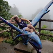 ���������� ������������, ���� ������� ����, 41 ���, ������������ ��� ������, ����� � ���������, c�������� ���������