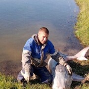 ���������� ���������, ���� ������� ���������, 42 ����, ������������ ��� c�������� ���������