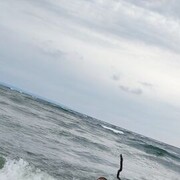 ���������� ������, ���� ������� �������, 34 ����, ������������ ��� ������, ����� � ���������