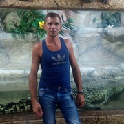  --,   , 43 ,   