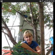 ���������� ������������, ���� ������� ��������, 59 ���, ������������ ��� ������, ����� � ���������, c�������� ���������