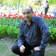  ,   , 66 ,  