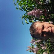  ,   , 43 ,   ,   