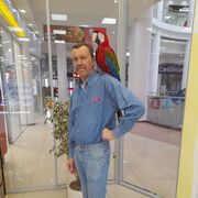  ,   , 56 ,   ,   