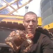  --,   , 44 ,   ,   