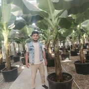 ���������� �����-���������, ���� ������� Jamshid, 27 ���, ������������ ��� ������, ����� � ���������