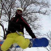  ,   Niko, 40 ,   ,   , c 