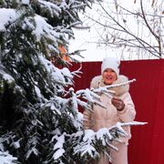 ���������� ������, ���� ������� �����, 54 ����, ������������ ��� ������, ����� � ���������