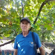 ���������� ����������, ���� ������� ��������, 69 ���, ������������ ��� ����� � ���������, c�������� ���������