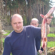  ,   , 48 ,  