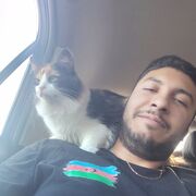 -,   , 29 ,   ,   