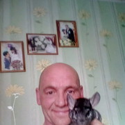  ,   , 51 ,     , c 
