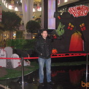 ���������� �������, ���� ������� Baur79, 48 ���, ������������ ��� ������, ����� � ���������, c�������� ���������