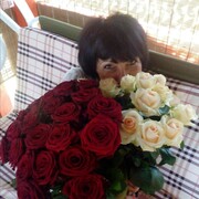  ,   , 65 ,  