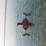 ���������� �������, ���� ������� ���������, 50 ���, ������������ ��� ������