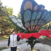 ���������� ������, ���� ������� ������, 63 ����, ������������ ��� c�������� ���������