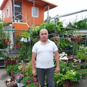   ,   , 44 ,   ,   