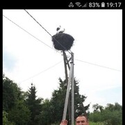  ,   , 59 ,     , 