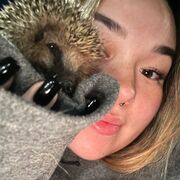 ���������� �����-���������, ���� ������� �������, 22 ����, ������������ ��� ���������