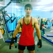 ,   Volk, 36 ,   , 