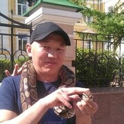  ,   Bakhtiar, 37 ,   ,   , c 