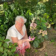 ���������� ���������, ���� ������� ��������, 70 ���, ������������ ��� c�������� ���������