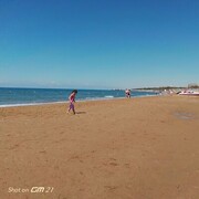  ,   Taylan, 39 ,   ,   , c , 