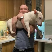 ���������� ������, ���� ������� ������, 33 ����, ������������ ��� ������, ����� � ���������